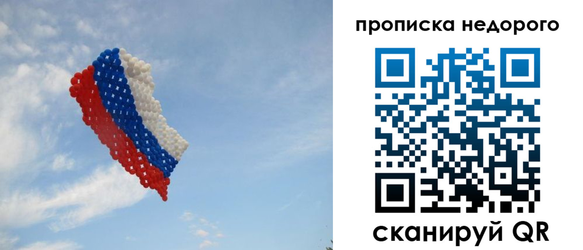 прописка поиск в Люберцах